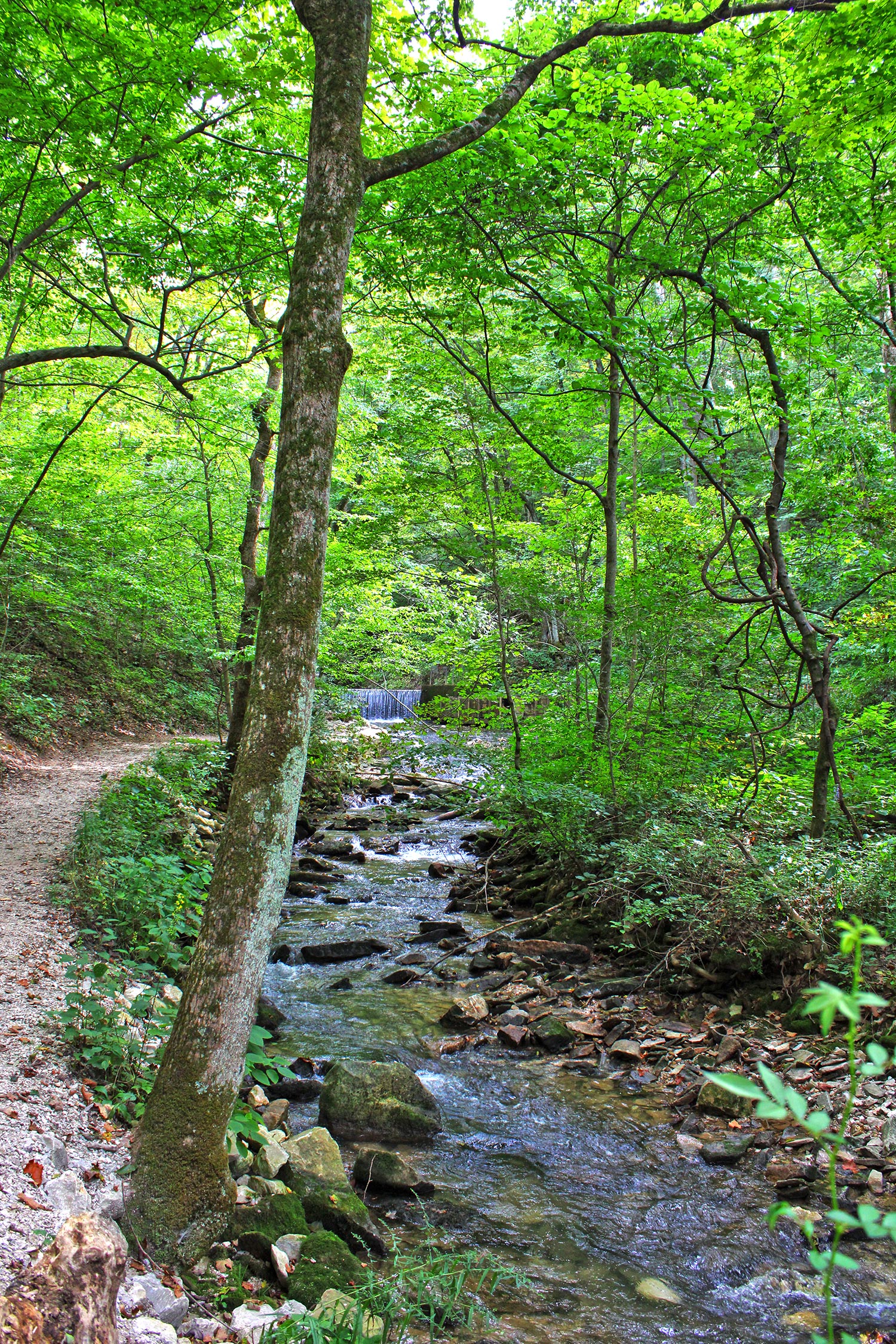 Things To Do At Spring Mill State Park 2 Hiking Trail at Spring Mill State Park