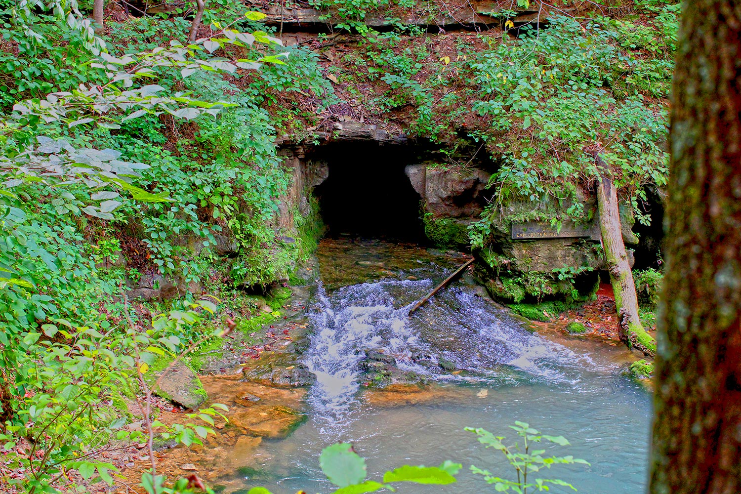 Hamer Cave at Spring Mill State Park
