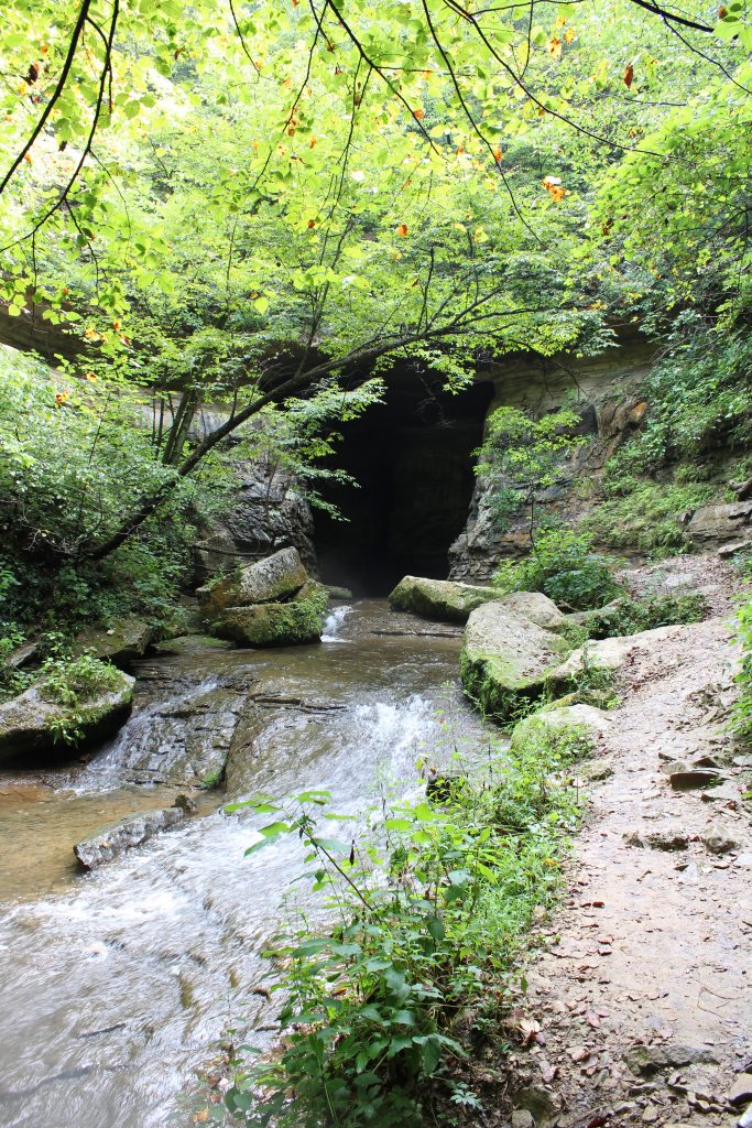 Donaldson Cave at Spring Mill State Park