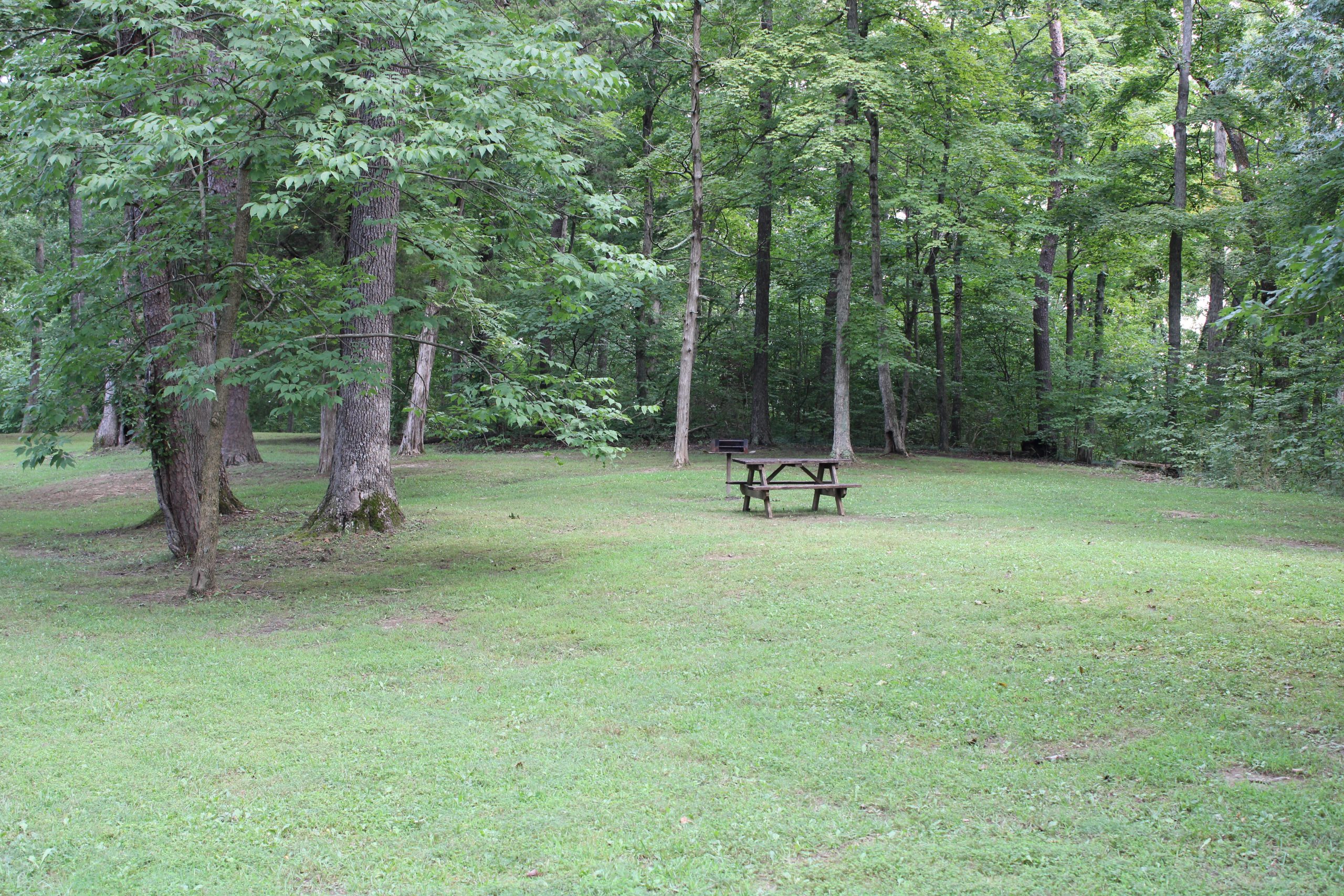 Picnic Area at Spring Mill State Park