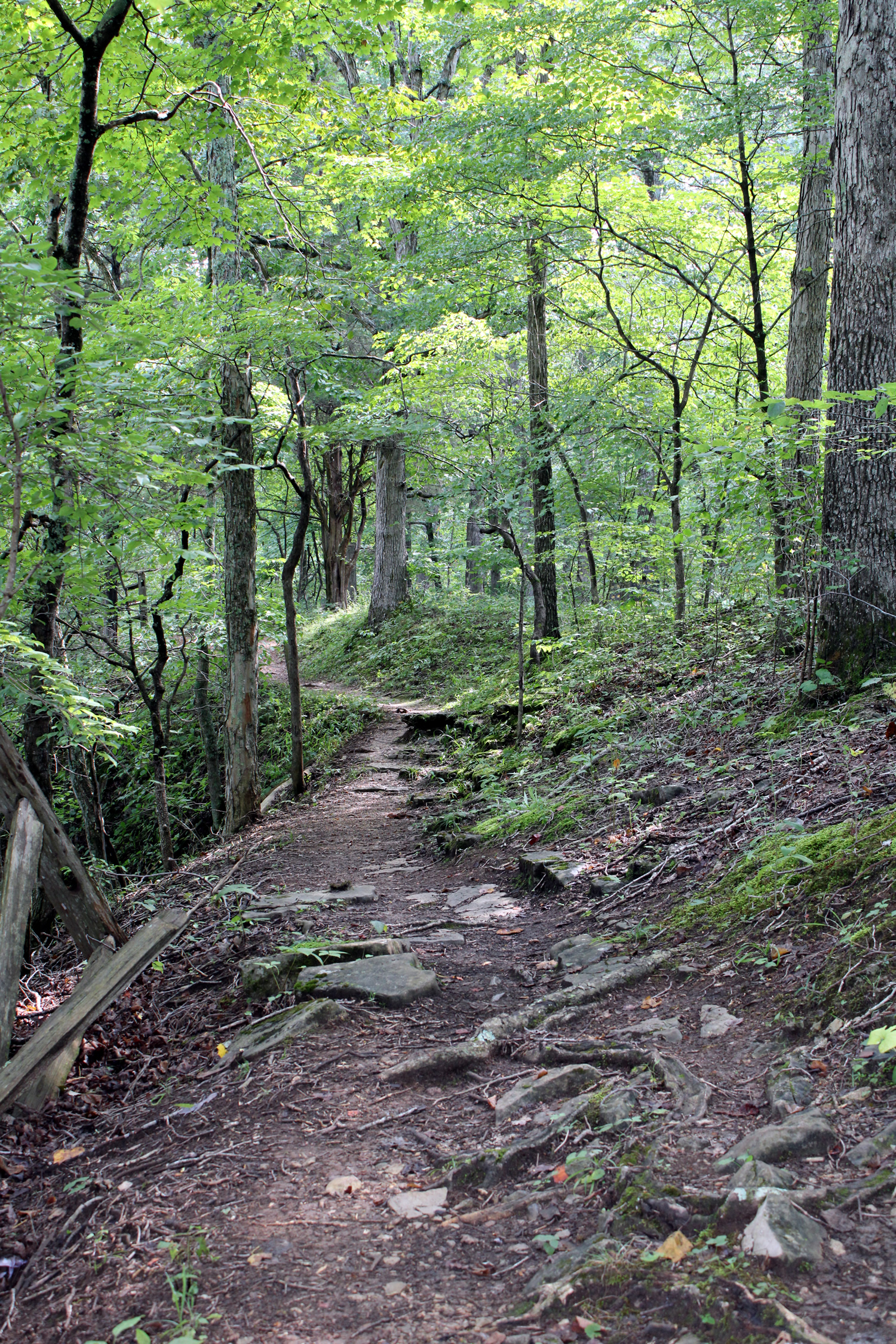 Things To Do At Spring Mill State Park 5 Hiking Trail at Spring Mill State Park