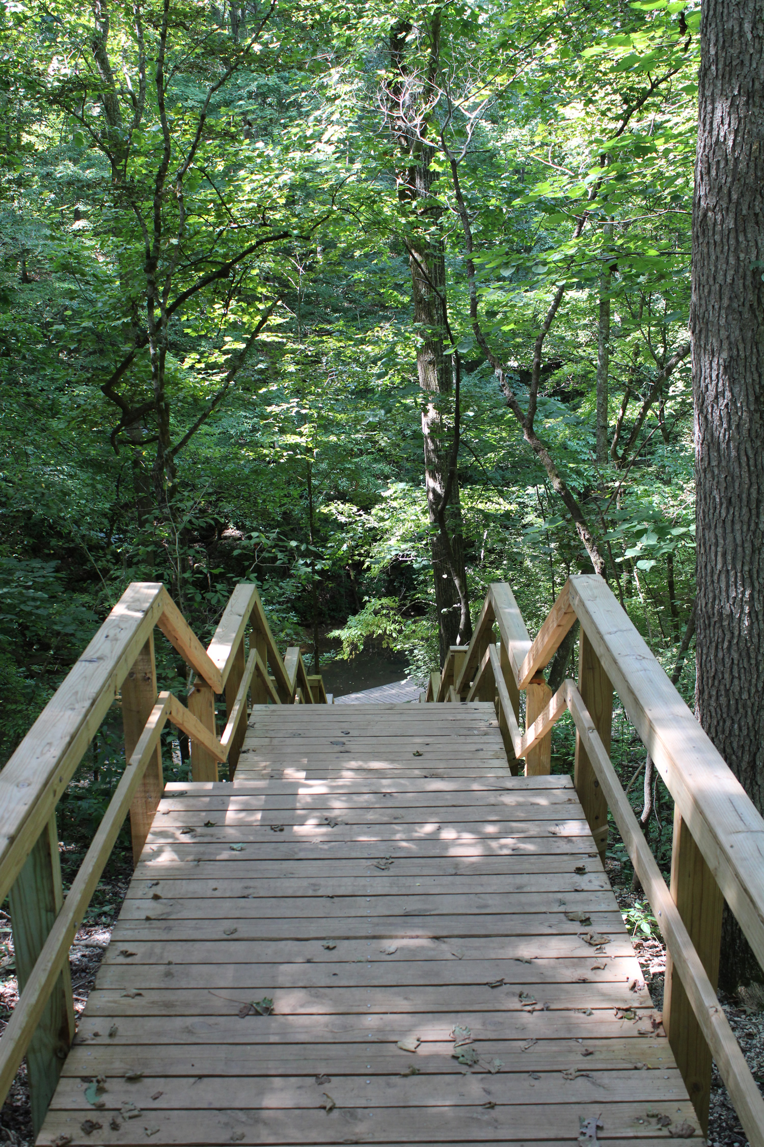 Hiking Trail at Spring Mill State Park
