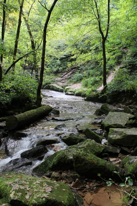 Hiking Trail at Spring Mill State Park